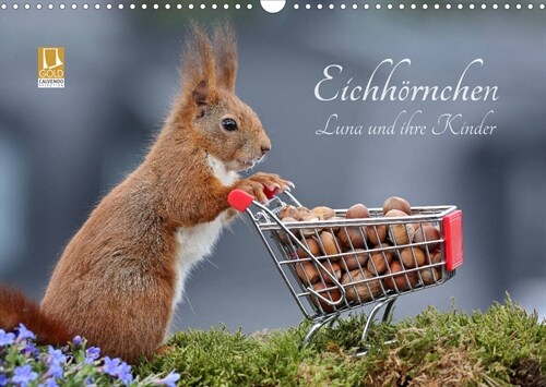 Eichhornchen Luna und ihre Kinder (Wandkalender 2023 DIN A3 quer) (Calendar)