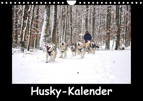 Husky-Kalender (Wandkalender 2023 DIN A4 quer) (Calendar)