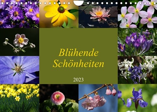 Bluhende Schonheiten 2023 (Wandkalender 2023 DIN A4 quer) (Calendar)