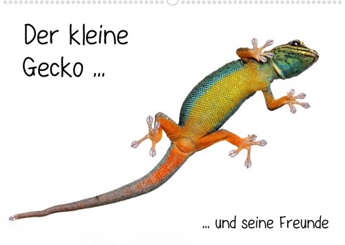 Der kleine Gecko und seine Freunde (Wandkalender 2023 DIN A2 quer) (Calendar)