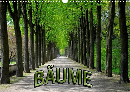 Baume 2023 (Wandkalender 2023 DIN A3 quer) (Calendar)