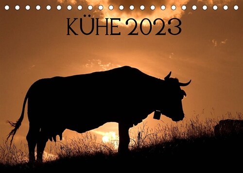 Kuhe 2023 (Tischkalender 2023 DIN A5 quer) (Calendar)