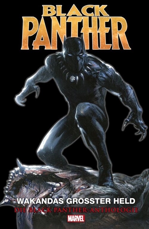 Black Panther Anthologie (Hardcover)