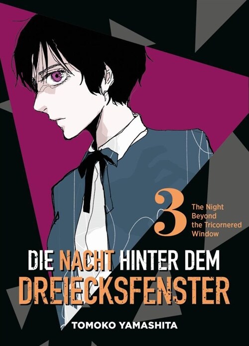 Die Nacht hinter dem Dreiecksfenster - The Night Beyond the Tricornered Window (Paperback)