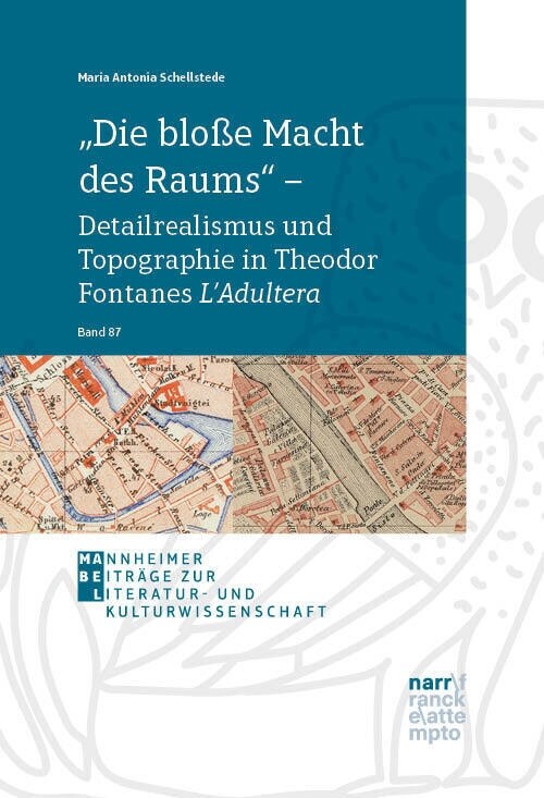 Die bloße Macht des Raums - Detailrealismus und Topographie in Theodor Fontanes LAdultera (Paperback)