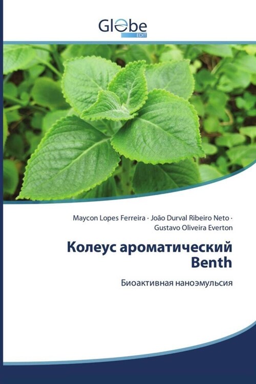 Koleus aromaticheskij Benth (Paperback)