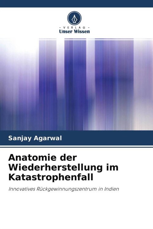 Anatomie der Wiederherstellung im Katastrophenfall (Paperback)