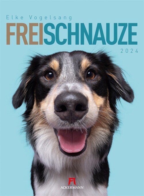 Frei Schnauze - Elke Vogelsang - Kalender 2024 (Calendar)