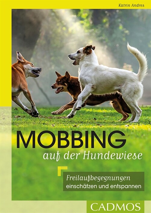 Mobbing auf der Hundewiese (Paperback)