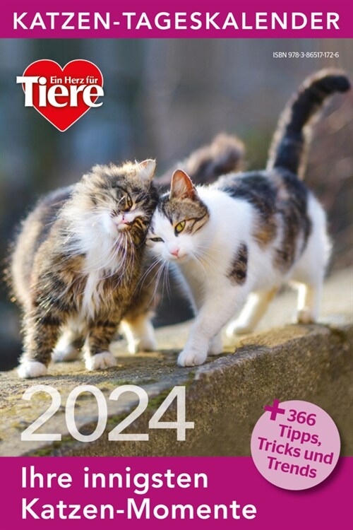 Katzen Tageskalender 2024 (Calendar)