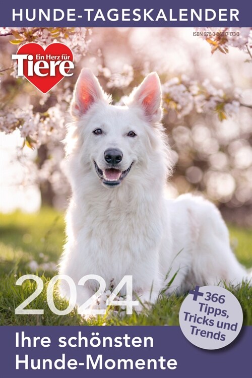 Hunde Tageskalender 2024 (Calendar)