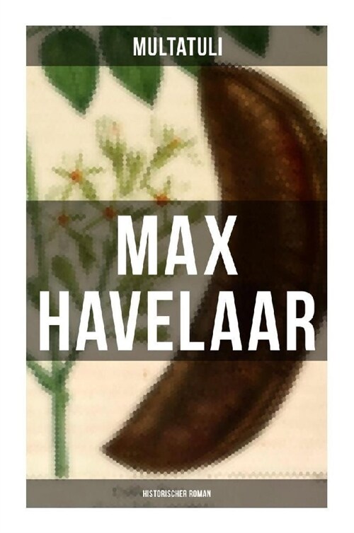 Max Havelaar (Historischer Roman) (Paperback)