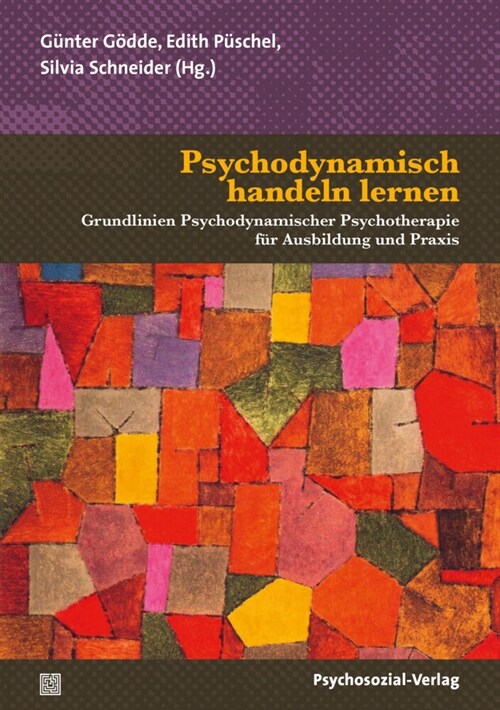 Psychodynamisch handeln lernen (Paperback)