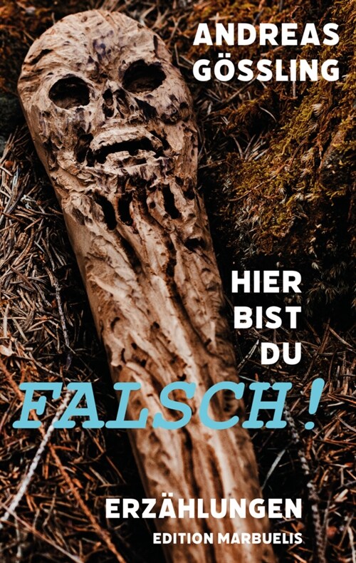 Hier bist du falsch! (Hardcover)