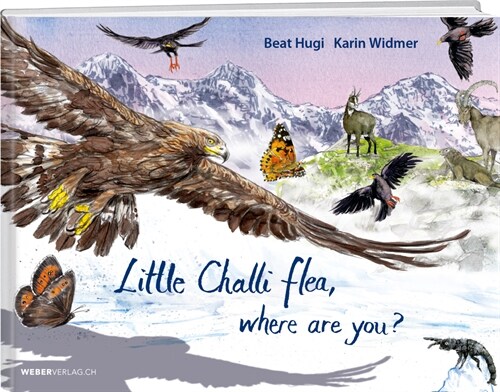 Little Challi flea, where are you (Hardcover)