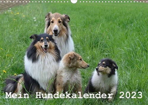 Mein Hundekalender 2023 (Wandkalender 2023 DIN A3 quer) (Calendar)