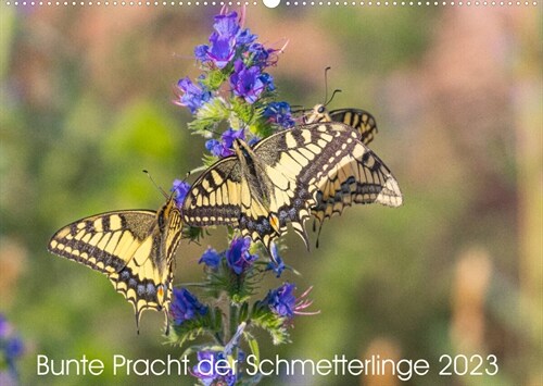 Bunte Pracht der Schmetterlinge (Wandkalender 2023 DIN A2 quer) (Calendar)