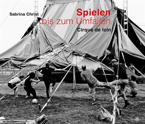 Spielen bis zum Umfallen (Book)