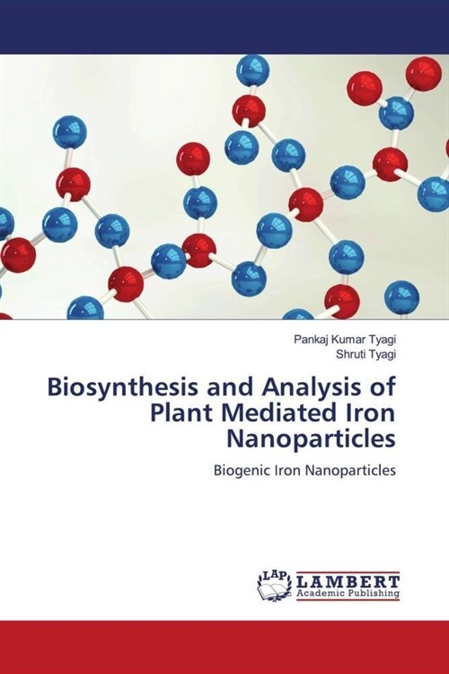 Biosynthesis and Analysis of Plant Mediated Iron Nanoparticles (Paperback)