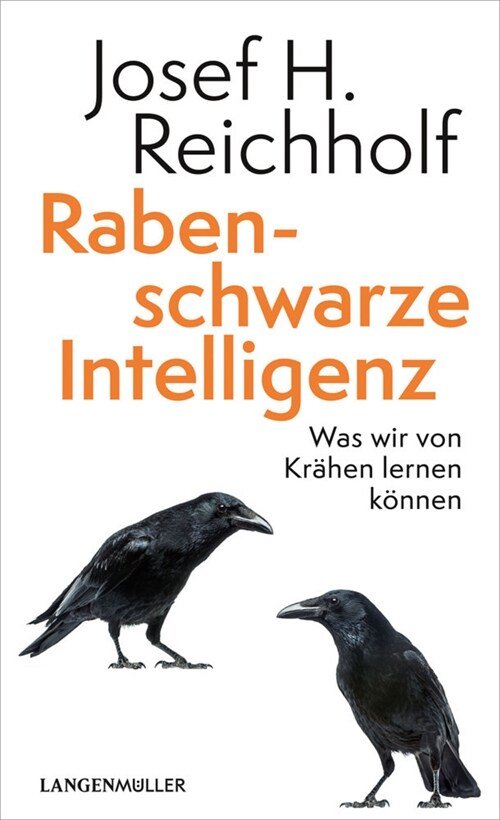 Rabenschwarze Intelligenz (Paperback)