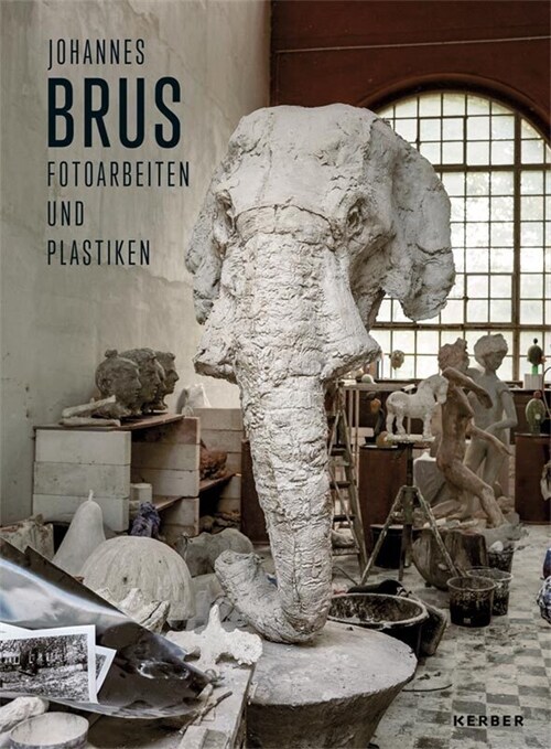 Johannes Brus (Hardcover)