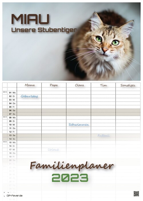 Miau - Unsere Stubentiger - Der Katzenkalender - 2023 - Kalender DIN A3 - (Familienplaner) (Calendar)