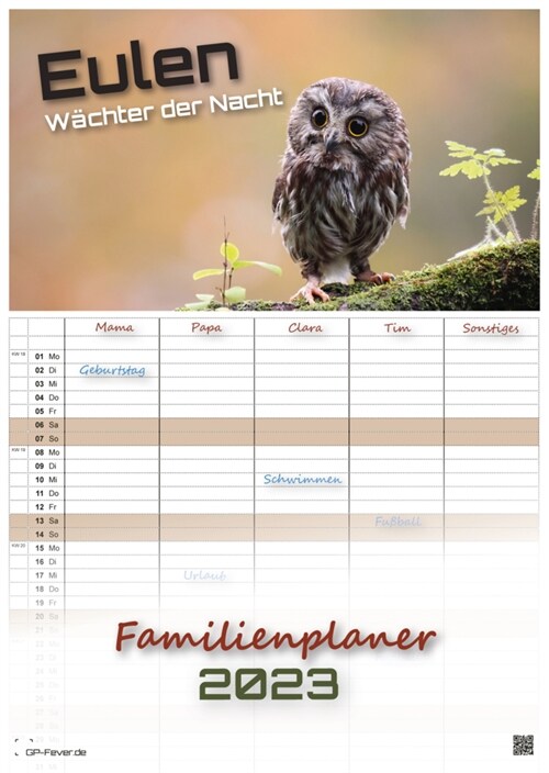 Eulen - Wachter der Nacht - 2023 - Kalender DIN A3 - (Familienplaner) (Calendar)