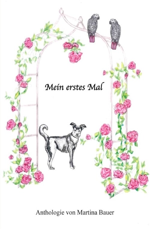 Mein erstes Mal (Paperback)