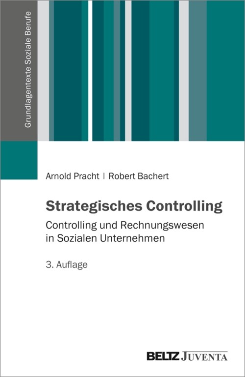 Strategisches Controlling (Paperback)