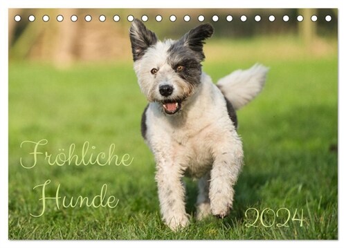 Frohliche Hunde (Tischkalender 2024 DIN A5 quer) (Calendar)