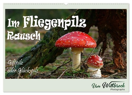 Im Fliegenpilz Rausch (Wandkalender 2024 DIN A2 quer) (Calendar)