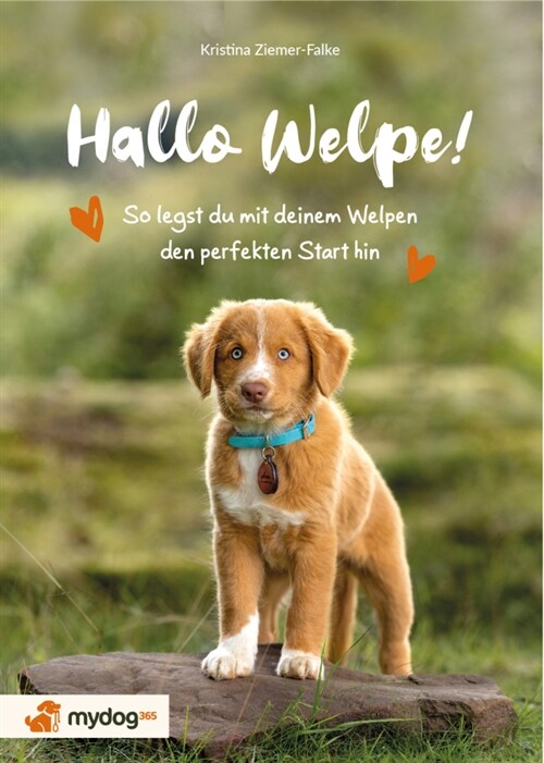 Hallo Welpe! (Paperback)