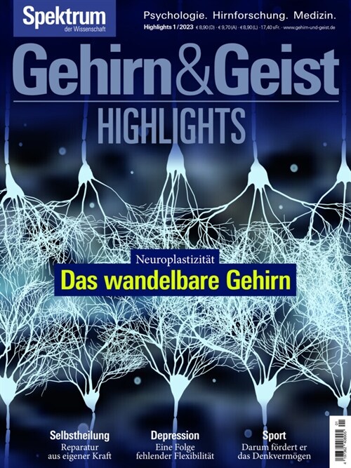 Gehirn&Geist Highlights - Das wandelbare Gehirn (Book)