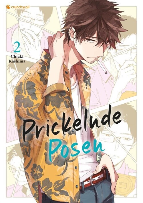 Prickelnde Posen - Band 2 (Finale) (Paperback)