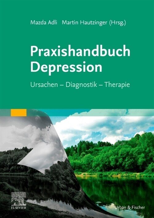 Praxishandbuch Depression (Paperback)