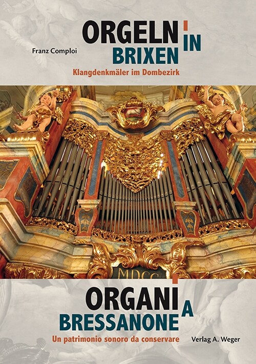 Orgeln in Brixen / Organi a Bressanone (Paperback)