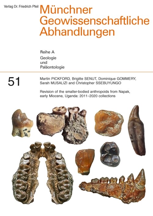 Revision of the smaller-bodied anthropoids from Napak, early Miocene, Uganda: 2011-2020 collections (Paperback)