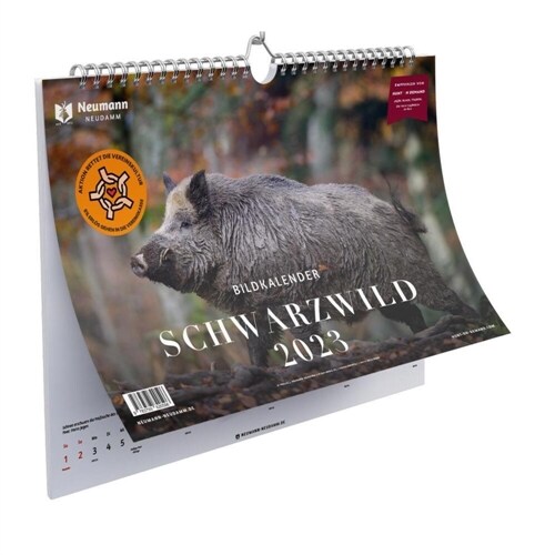 Schwarzwild Bildkalender 2023 (Calendar)