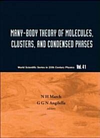 Many-Body Theory of Molecules, Clusters and Condensed Phases (Hardcover)