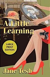 A Little Learning: A Madeline Maclin Mystery (Paperback)