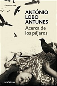 Acerca de los pajaros/ About Birds (Paperback, Translation)