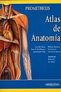 Atlas de anatomia/ Atlas of Anatomy (Paperback, Translation)