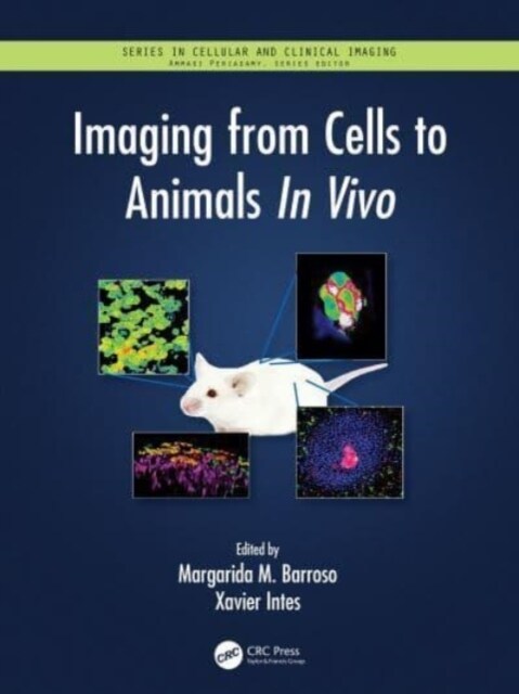 Imaging from Cells to Animals In Vivo (Paperback, 1)