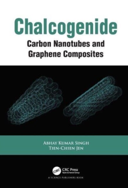 Chalcogenide : Carbon Nanotubes and Graphene Composites (Paperback)