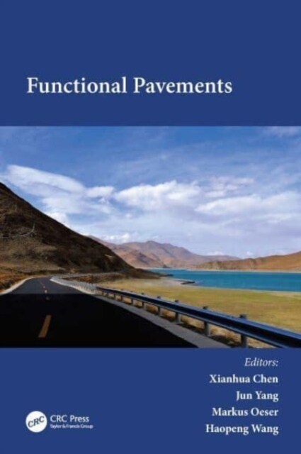 Functional Pavements (Paperback)