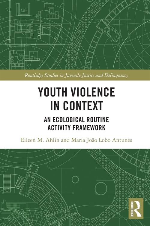Youth Violence in Context : An Ecological Routine Activity Framework (Paperback)