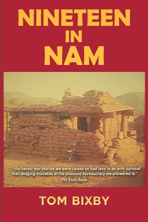 Nineteen in Nam (Paperback)