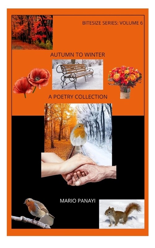 Autumn to Winter: A Poetry Collection (Paperback)