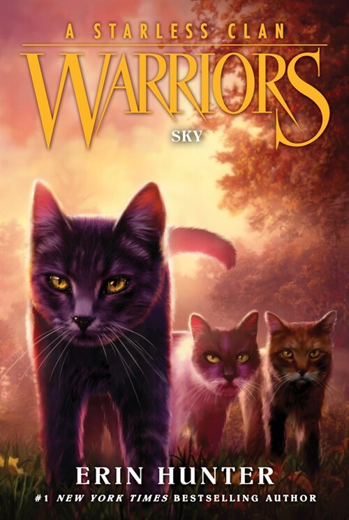 Warriors: A Starless Clan #2: Sky (Paperback)