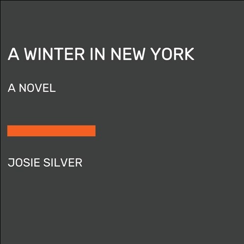 A Winter in New York (Paperback)